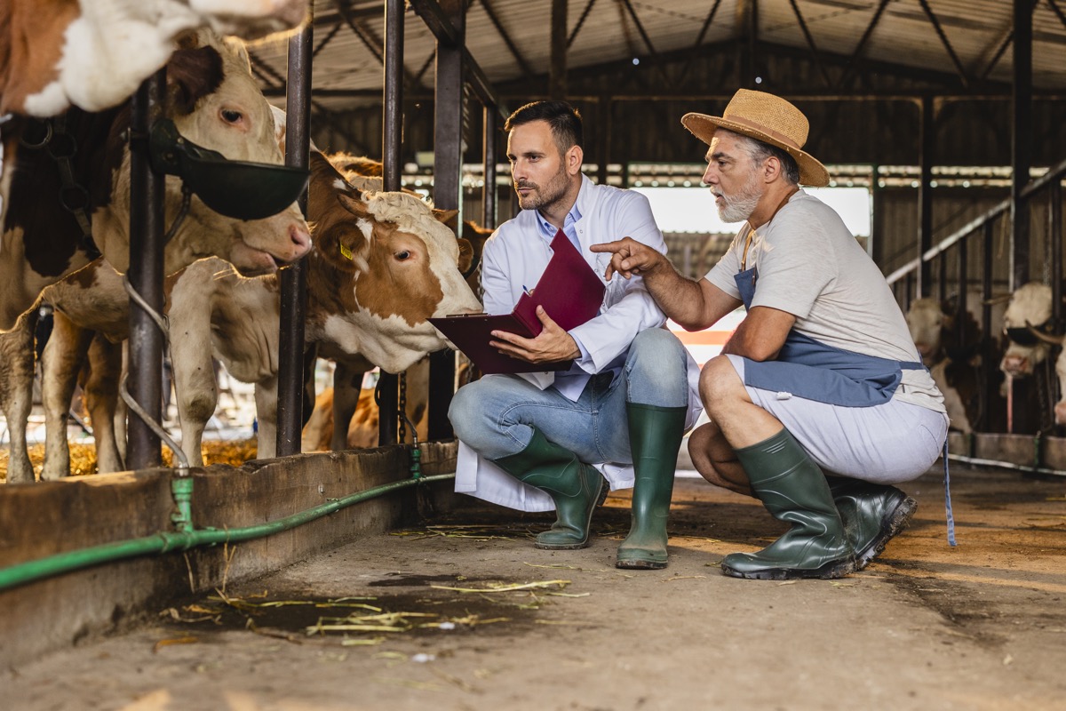 Reto B-GOR Buenas Prácticas Ganaderas